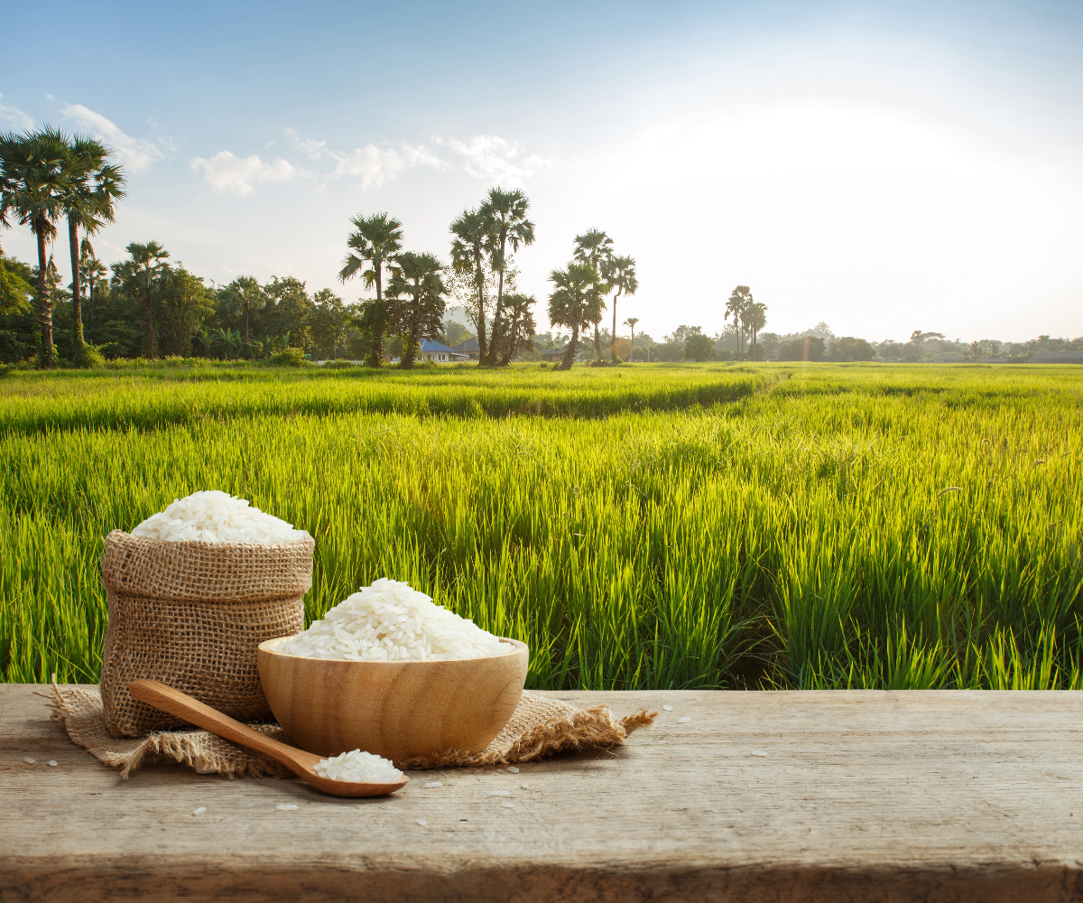 White, brown or wild rice for an acne fighting diet? – Upgrad'd ...